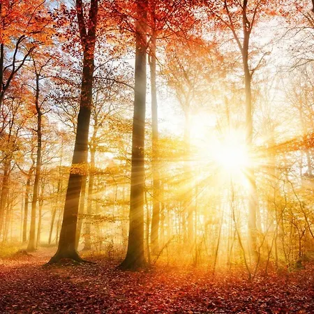 Free Standing Vacation House Garden, Private Jacuzzi, Veluwe Woods *