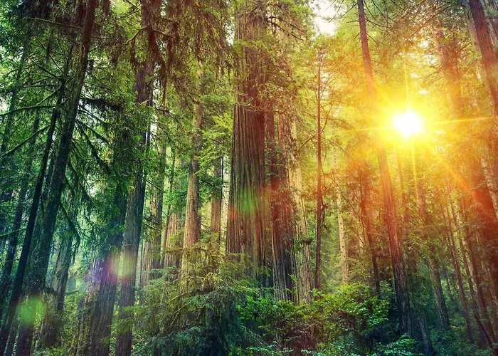 Free Standing Vacation House Garden, Private Jacuzzi, Veluwe Woods Voorthuizen